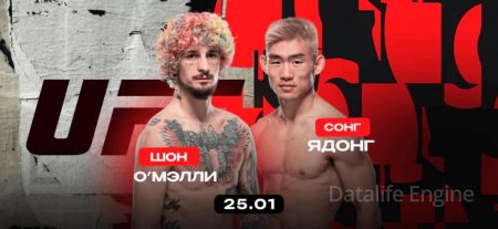 Шон О'Мэлли vs Сонг Ядонг